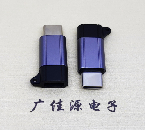 麻涌镇Type-C母转Type-C公 USB3.1 PD100W快冲接口